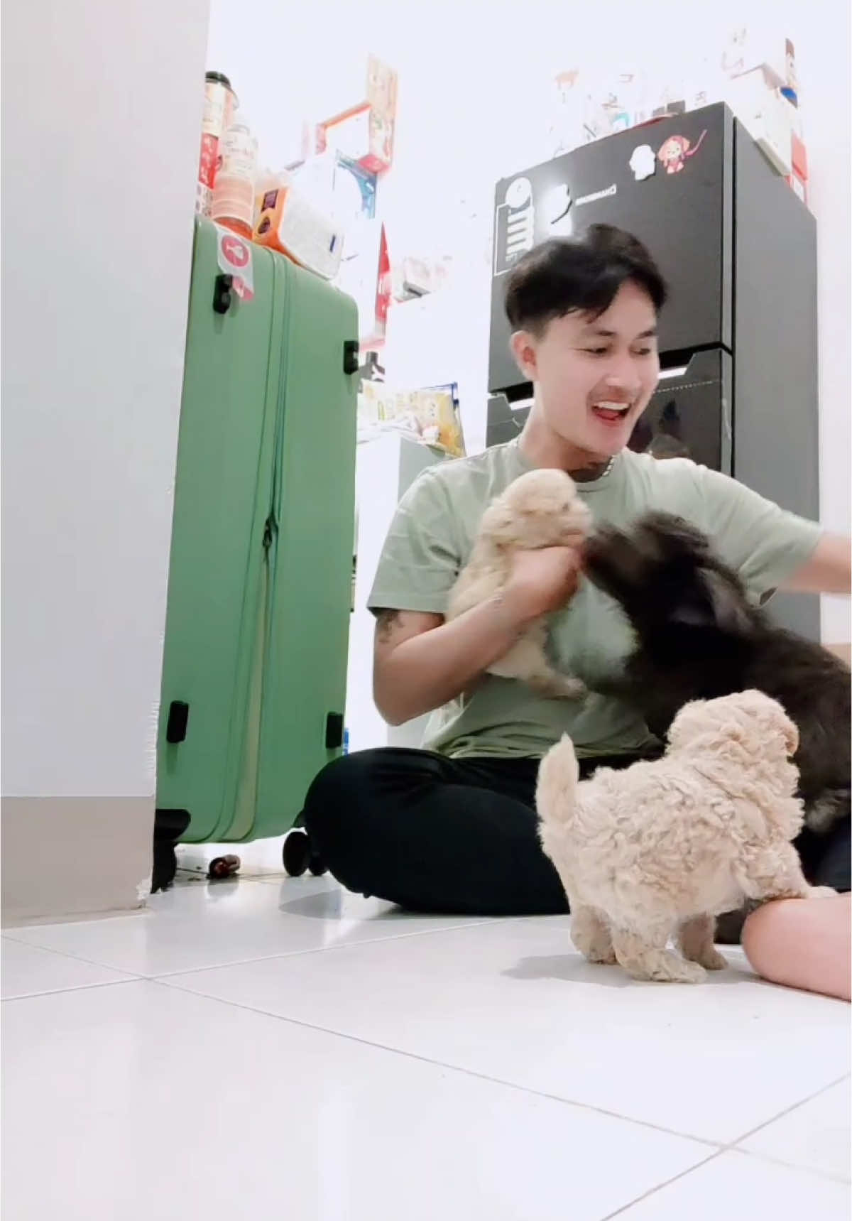 Kesayangannya akuu💕🥰 #dog #doglovers #anabul #pudel #gemesin 