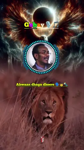 Abwaan dhaga dheere #gabay #abwaan #somalinimo #somalia #edit #jemis 