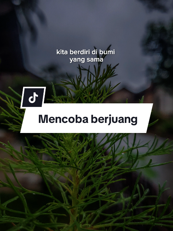 Berhasil atau gagal itu diluar kuasaku #CapCut #status #fyppppppppppppppppppppppp #fyp #viral #trending #story #motivasihidup #katakata #nasehatislami #berhasil #gagal #takdir #bumi #quotestory #quotes #kehidupan #kehidupandidunia 