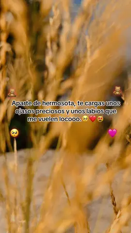 #atardeceres🌅 #viralparati #atardeceres🌅 #viralparatiktok #humor 
