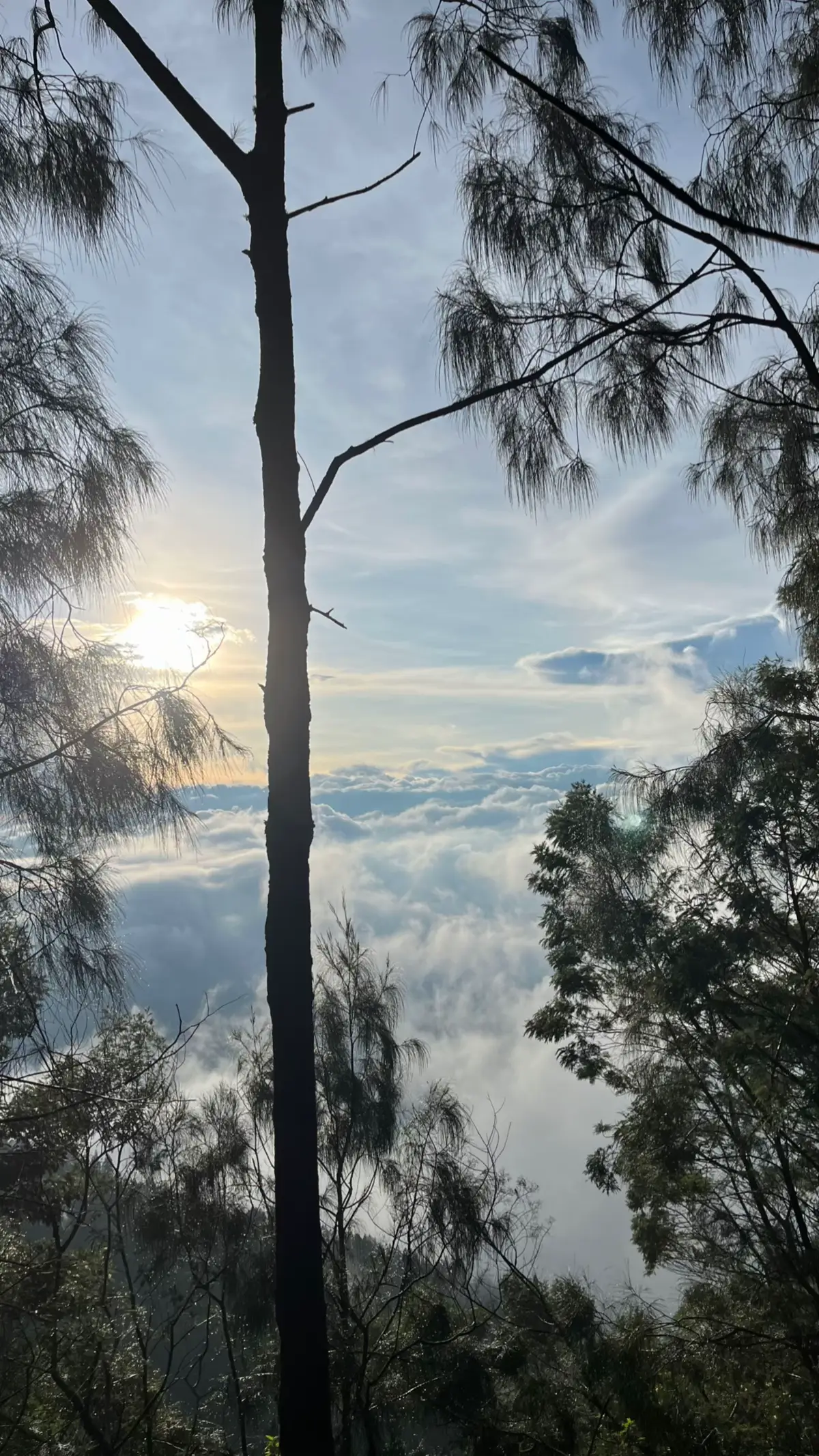 #lawumountain #lawuviacetho #lawu3265mdpl #fyp 