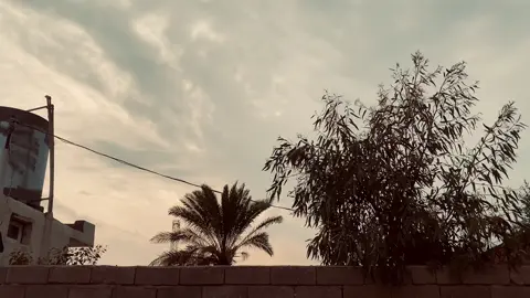 عباراتكم ✨🙂؟                #خلودي_العطيه #عباراتكم_الفخمه📿📌 #شعراء_وذواقين_الشعر_الشعبي🎸 #yyyyyyyyyyyyyyyyyy #عادت_نشر🔁 #شعروقصايد #اقتباسات_عبارات_خواطر🖤🦋❤️ #شعر_شعبي_عراقي #عباراتكم💔💔؟ #عبارات_جميلة🦋💙 #عباراتكم🥀❤️ 