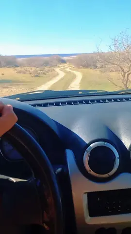 #Logan_dacia_taxi_collectif_inter_wilaya 