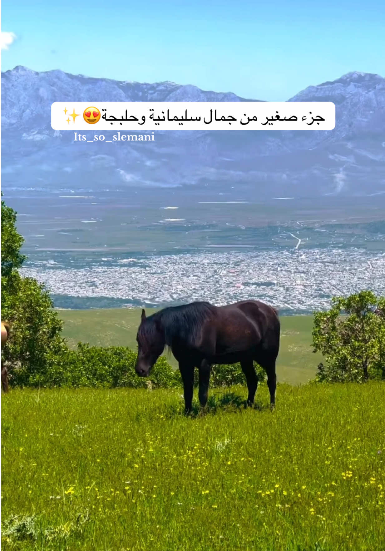 جزء صغير من جمال سليمانية وحلبجة😍✨#سليماينه_العراق_كوردستان #سليمانية #هلبجه #حلبجه_شهيد_مونوميت_سليمانية_العراق #نه رولي