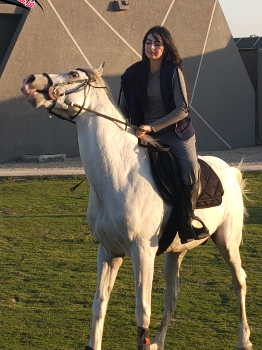 #sh7azi_ #شهد_الشمري #sh7azi #اكسبلور #شهد 