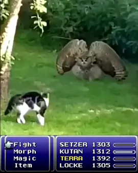 garuda battle  #finalfantasy #rpg #jrpg #anime #catsoftiktok #funny #finalfantasy6 