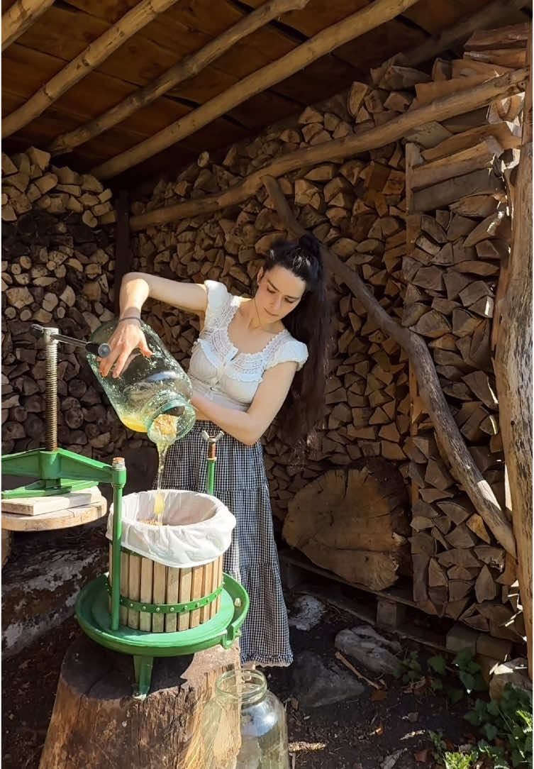 Wildflower honey harvest from our log hive 🍯🐝 This hive is a conservation hive - we let the wild bees live here without any intervention and we never intend to take a honey harvest from them. However this colony of bees very sadly didn’t make it through the winter ☹️  The death of the colony is the only time we harvest from this kind of hive. They left us quite a hoard! After double filtration we ended up with 5kgs of liquid gold! Thank you bees 🙏🥹  What are your favourite ways to use honey? I’ve got a lot to get through 😅 #honeyharvest #honeycomb #ruralliving #liquidgold 