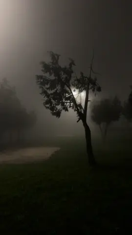 جررحك العااام ما طااااب