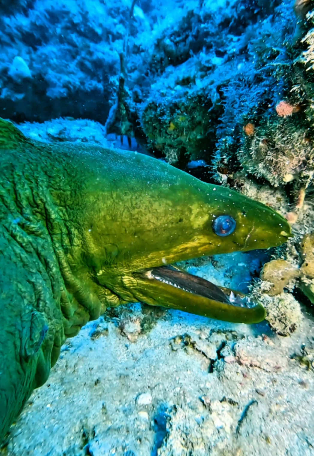 little nibble on the camera shot w/ @GoPro 
