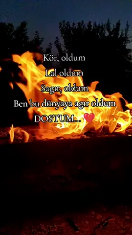 ᴋᴏ̈ʀ ᴏʟᴅᴜᴍ ʟᴀʟ ᴏʟᴅᴜᴍ sᴀɢıʀ ᴏʟᴅᴜᴍ ʙᴇɴ ʙᴜ ᴅᴜ̈ɴʏᴀʏᴀ ᴀɢıʀ ᴏʟᴅᴜᴍ ᴅᴏsᴛᴜᴍ... 🥀#keşfetteyizzz #keşfet #ypfッ #keşfetedüş #standwithkashmir #beniöneçıkart #keşfetbeniöneçıkar 