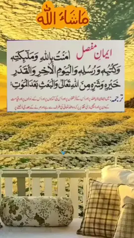 💓🤲💓🌹🤲🌹🌷💗🥀🥀🥀🥀🥀🥀🥀🥀🥀🥀🥀