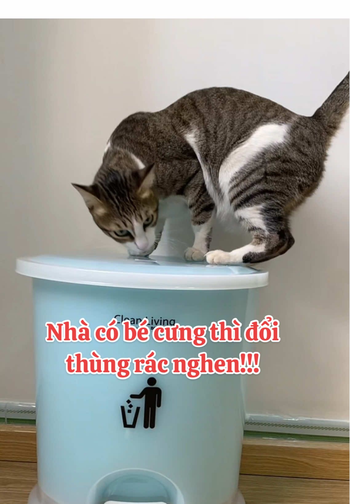 Thùng rác có nắp đậy Duy Tân #giadungphuclong #salengaydoi #giadungtienloi #thungrac #thungracconapday #thungracthongminh #nhuaduytan #duytan 