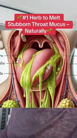 🌱#1 Herb to Melt Stubborn Throat Mucus – Naturally🌱 	2.	#phlegm  	3.	#coughing  	4.	#mucusrelief  	5.	#BroadleafPlantain 	6.	#mucusremoval 