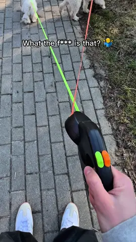 This is an absolute game changer! 😍 Link in Bio 🔗  #dogsoftiktok #tiktokmademebuyit #doglovers 