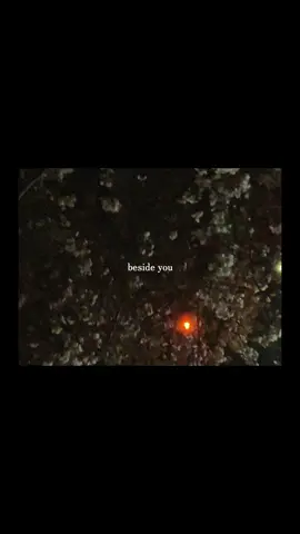 𝖻𝖾𝗌𝗂𝖽𝖾 𝗒𝗈𝗎 - 𝗄𝖾𝗌𝗁𝗂￤#besideyou #keshi #lyricsvideo #lyrics #歌詞動画 #和訳 #意訳 #fypシ゚ #恋愛ソング #洋楽和訳 #恋愛 