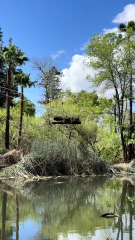 #trework #parati #viral #fyp 