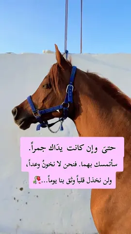 #عبارات #خواطر #fypシ #explore 