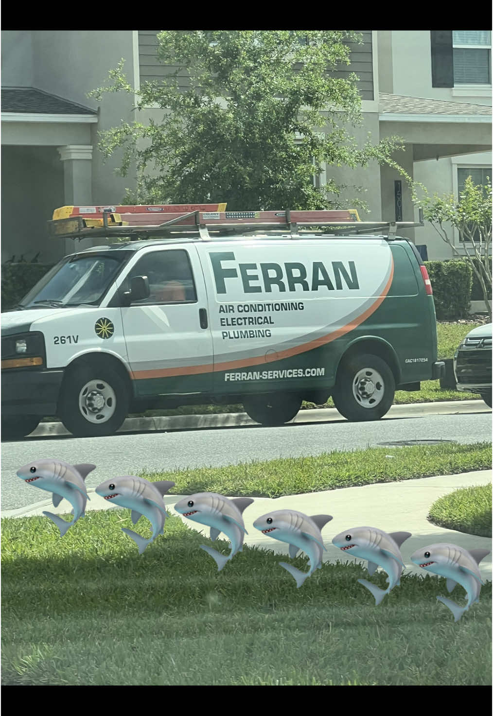 Está en todos lados el tiburón‼️🦈 #ferrantorres #eltiburon #ferran 