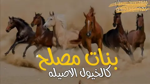 شيله بنات مصلح#اداء سعد محسن #شيله بنات مصلح كالخيول الاصيله#شيله مدح بنات مصلح حماسيه #شيله بنات مصلح رقص#شيله بنات مصلح 2025 اداء سعد محسن  #شيله ام العروس بدوناسماء_شيله ام العروس_بدون اسم,شيله ام العروس جديد2025شيله ام العروس #بدون حقوق#شيله ام العروس حماسيه2025#شيله ام العروس2025#جديد شيله ام العروس,شيله ام العروس رقص2025#شيله ام العروس مجانيه, شيله مدح ام العروس,شيله ام العروس جديده, شيله مميزه لام العروس,شيله لأم العروس جديد#شيله ام العروس طرب,شيله جتكم ام العروس,اقبلت ام العروس, جت ام العروس,ارحبي يم العروس, العبي يم العروس, طلت ام العروس, اقبلت بنت الفخر#لعيون بنت الفخر,ارقصي يم العروس, شيله ترحيبيه لام العروس2025,شيله ترحيب بام العروس, شيله ترحيبيه بام العروس,شيله ترحيب بالضيوف من ام العروس2025,شيله ترحيب بالضيوف من ام العروس, طلي يم العروس,طلي على الحفل, تقدمي يم العروس,جاكم الموت الحمر,شيله ام العروس, بدون اسماء, بدون حقوق, نورت ام العروس, ياهلا بام العروس, بنت الشيوخ, بنت الاكابر, شيله مميزه لام المعرس,شيله مميزه لام العريس #بدون اسماء, شيله مميزه لام العريس, بدون حقوق#يم العروس اقبلي, رحبو بام العروس, افرحي يم,افرحي في عرس بنتك,شيله مهداه_لام العروس#شيله ام العروس في بنتها_شيله ام العروس في ابنتها_شيله ام العروس في بنتها_افرحي عسى الفرحه تدوم, افخم شيله ام العروس,افرحي يالغاليه_افرحي يالشامخه,افرحي في عرس ابنتك, تبختري يم العروس, تمخطري يم العروس,جت تستثير الحفل2025#شيله ام العروس ام العروس2025#حيو ام العروس_صفو لام العروس_فزو لها يالحاضرين_قومو لها#ام العروس,شيله ام العروس حماس, شيله ام العروس بدون اسماء,شيله ام العروس بدون حقوق,العبي في عرس بنتك, العبي في حفل بنتك,شاركوها فرحه بنتها,شاركوها بحفله وبنتها,باركوها فرحه بنتها,يم العروس, شوشي والعبي, يامرحبا مليون بأم العروس, يامرحبا باسم ام العروس,شيله ام العروس في وبنتها, شيله ام العروس في ابنتها, شيله ام العروس ام محمد, شيله ام العروس ام عبدالله, شيله ام العروس ام سلطان, شيله ام العريس ام فهد, شيله ام العروس ام سلمان, شيله ام العروس ام سطام, شيله ام العروس ام فواز, شيله ام العروس ام سعيد, شيله ام العروس ام فيصل, شيله ام العروس ام سعود, شيله ام العروس نواف, شيله ام العروس ام نايف, شيله ام العروس ام ناصر, شيله ام العروس ام يوسف, شيله ام العروس ام ماجد, شيله ام العروس ام حمد, شيله ام العروس ام علي, شيله ام العروس ام احمد, شيله ام العروس ام مشاري,شيله ام العروس ام مازن, شيله ام العروس ام يحي, شيله ام العروس ام فارس, شيله ام العروس ام عبد الاله, شيله ام العروس ام ابراهيم, شيله ام العروس ام عبد الرحمن, شيله ام العروس ام عيد, شيله ام العروس ام ضيف الله, شيله ام العروس ام نادر, شيله ام العروس, ام مرزوق, شيله ام العروس لافي,شيله ام العروس ام مبارك, شيله ام العروس سامي, شيله ام العروس ام حامد,شيله ام العروس ام جاسم,