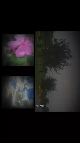 ɪ ♡ Fʟᴏᴡᴇʀs__✿ #🦋𝐘.𝐁𝐚𝐭𝐨𝐨𝐥🦋#♡🦋fypシ゚viral🖤tiktok✨#fypシ゚viral  #fypppppppppp#🖤🖤🖤🖤 #ғᴏʀʏᴏᴜᴘᴀɢᴇ♡シ #NS #Likethevideo♡ #unfreezemyaccount #flowers🌼🍁🌸 @Tornado ExE # 