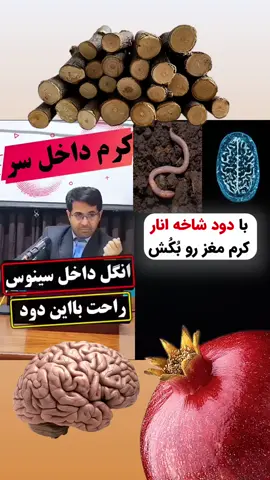 #faryou_tiktok_viral_video_faryour_pa #faryou_tiktok_viral_video_faryour_page #هزاره_پشتو_ازبک_افغان_هم_وطن #دوستان_گلم_لایک_وکمنت_را_فراموش_نکنید 