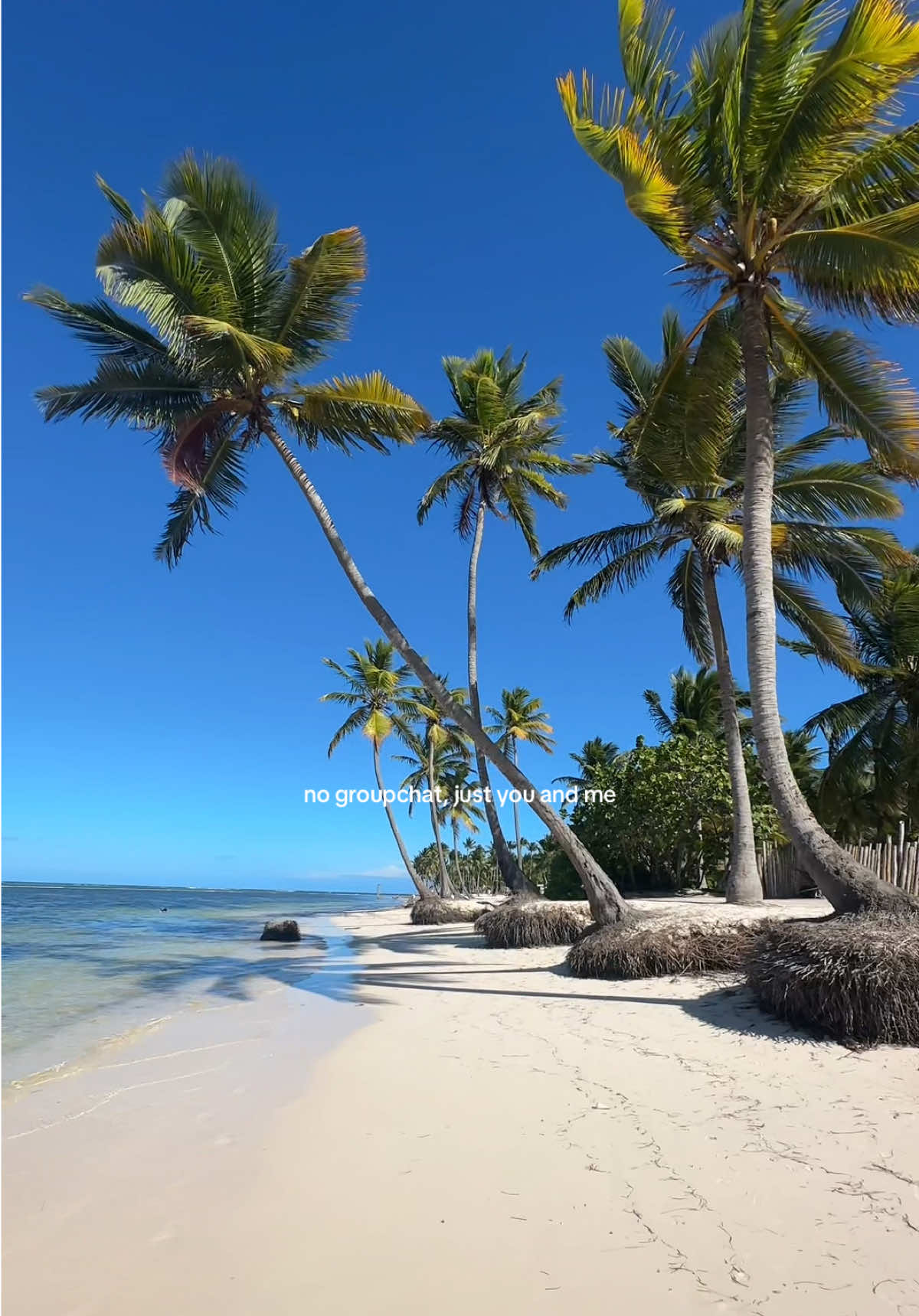 trips with my best friend 🏝️ #vacation #baecation #travel #couple #Relationship #bestfriend #dominicanrepublic 