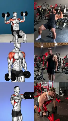 Treino de ombros cbum #treino #treinodeombros #GymTok #fyy #cbum 