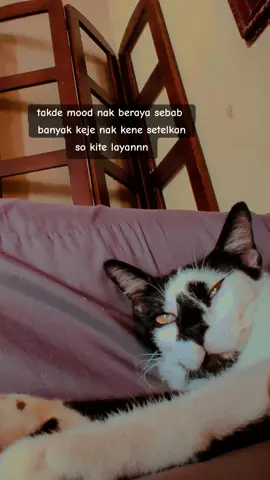 Selamat hari raya #askablind #fyp #fypシ゚ #masukberanda 