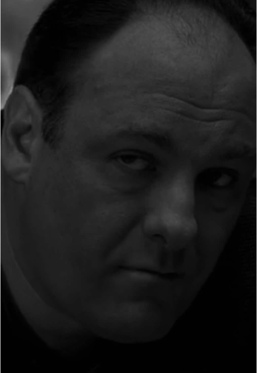 💔                                                        #sopranos #sopranosedit #tonysoprano #tonysopranoedit 