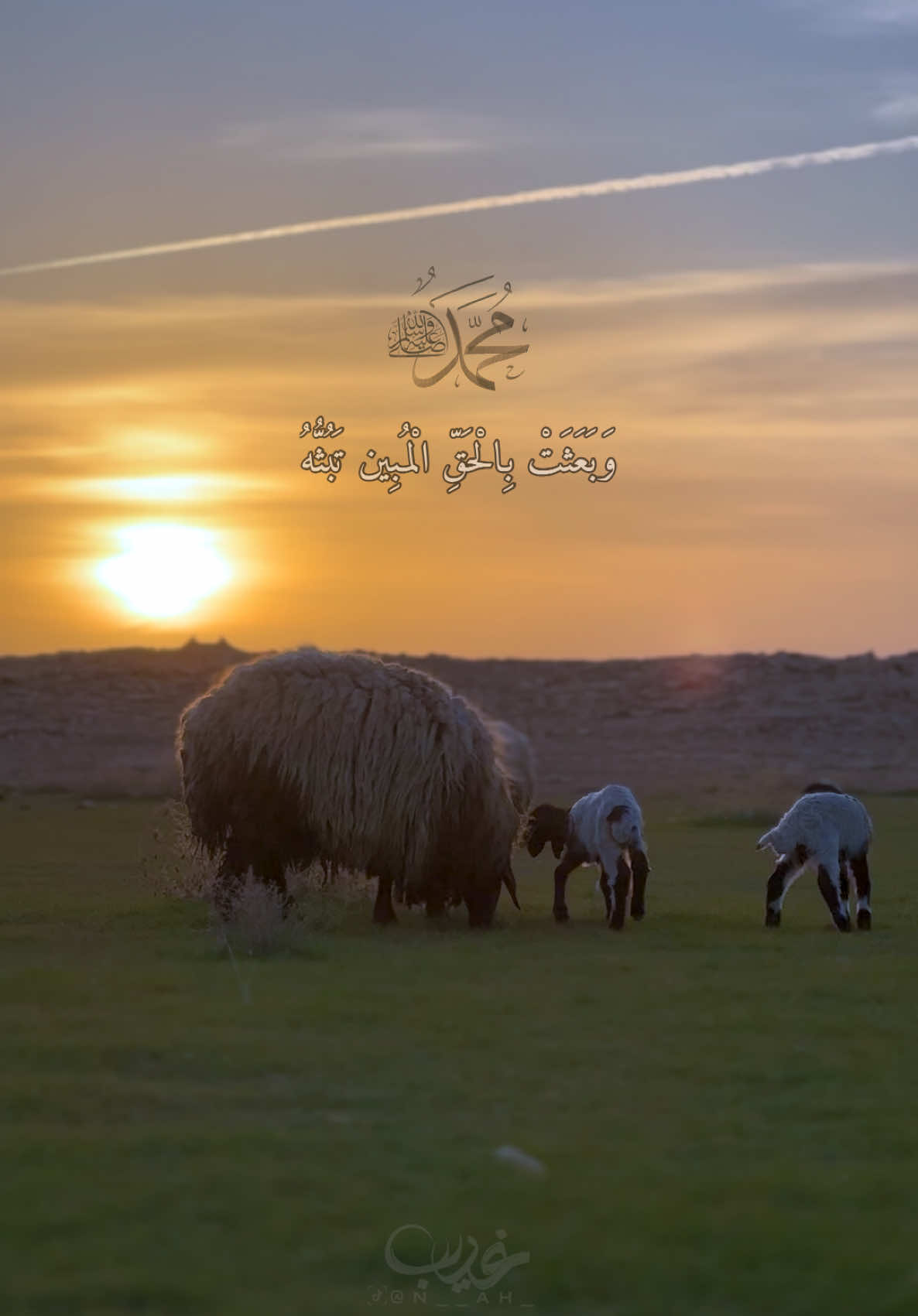 سنابي بالبايو الله يحييكم✨🩶 #تصميمي #تصويري📸 #صلوا_على_رسول_الله #يوم_الجمعه #عليه_افضل_الصلاه_والسلام #سورة_الكهف #اللهم_صلي_على_نبينا_محمد 