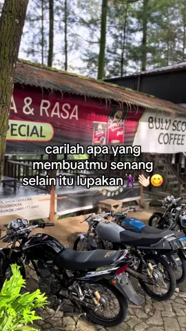 Ora mikir seng ra perlu dipikir🕺🏻#cbglmptiger #w9style 