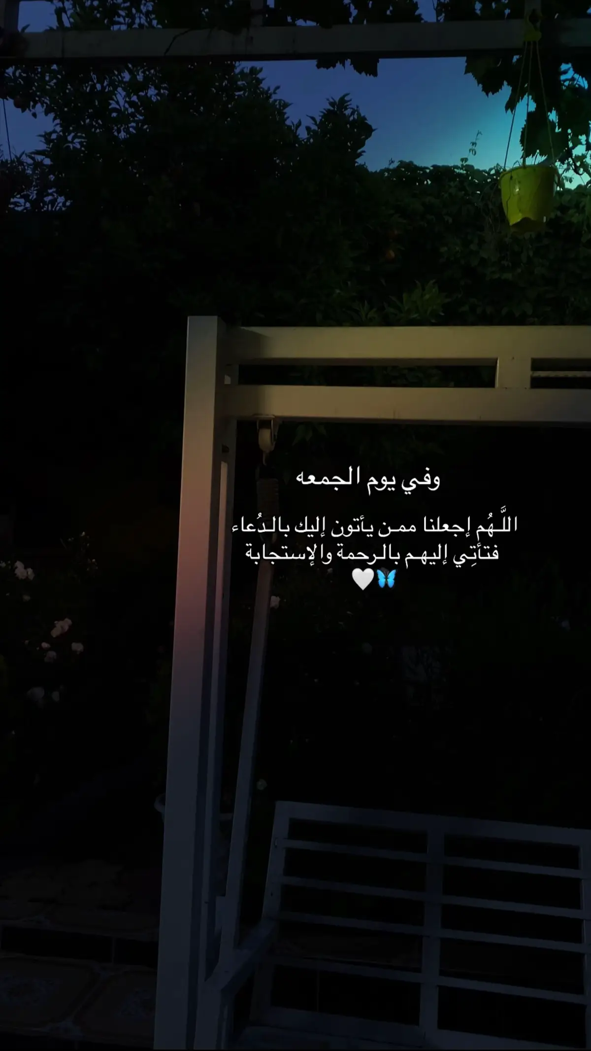 #اللهم_امين #یارب_العالمیــــــــــن🤲🏻🥺 