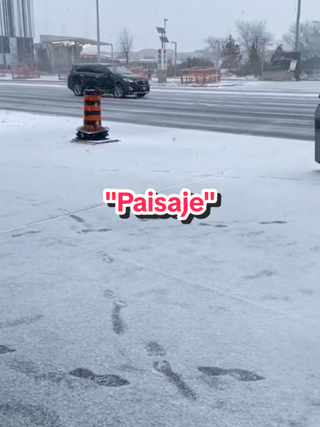 Lo prometido es deuda #francosimone #paisaje #Canada #toronto #invierno  #nostalgia #recuerdos #musicaenvinilo. #bauldelosrecuerdos #amor 