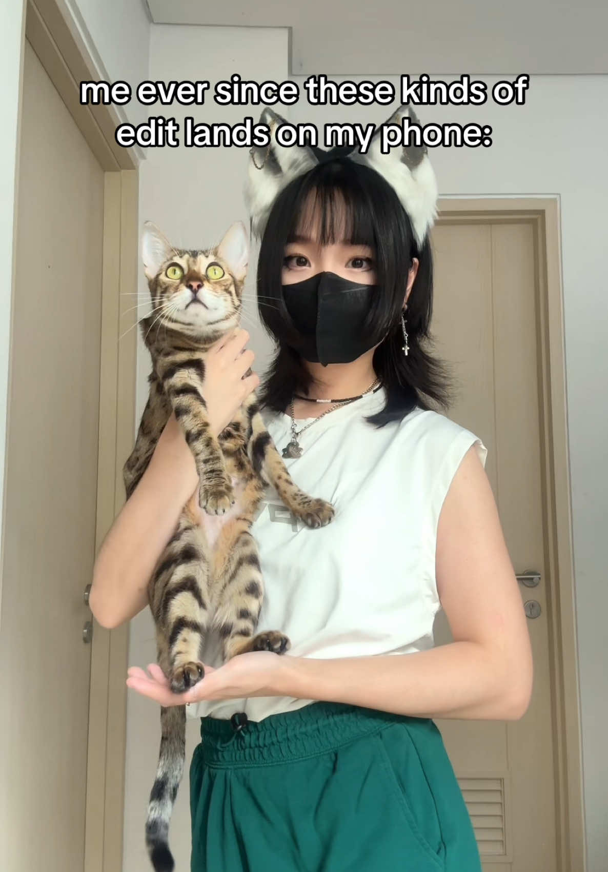 Cat joined the trend! I MADE THE DANCE VERSION ON GANKNOW.Com/KITSUNEE N TRAKTEER.Com/KITSUNEX❤️‼️ #Meme #kitsunee #xybca #fypシ #dance #egypt #edit #edits #egyptian 