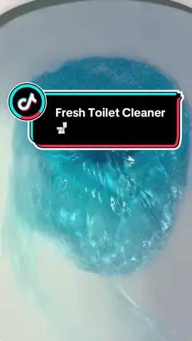 Joysome air you have saved me time with this toilet cleaner!! #joysomeair #toiletcleaner #toiletcleanerhack #toilet #bathroomhack #toilethack #toiletbowlcleaner #toiletbowl 