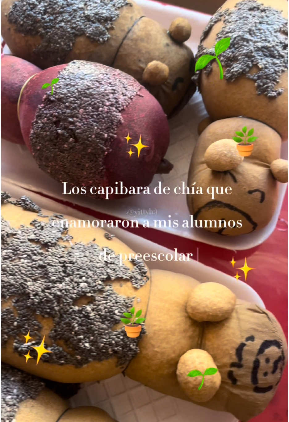 🌱🪴Capibara de chía con mis alumnos de preescolar  🌱🪴⭐️🪄❤️ #practicante #normalista #preescolar #manualidad #capibara #docencia #maestra #educadora #licenciada