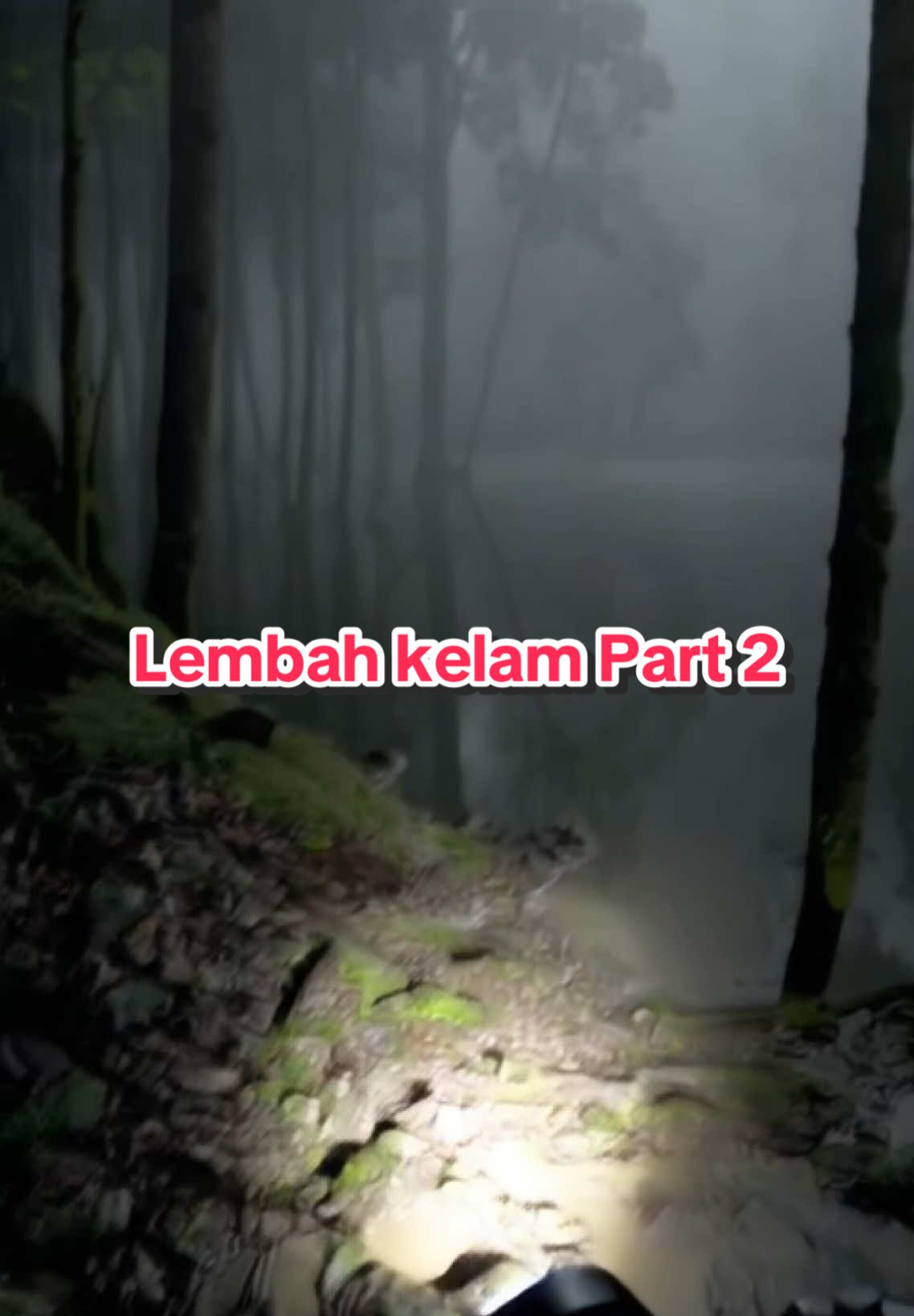 ingin nyebrang tapi gimana ?? #jurnalmistis #lembahkelam