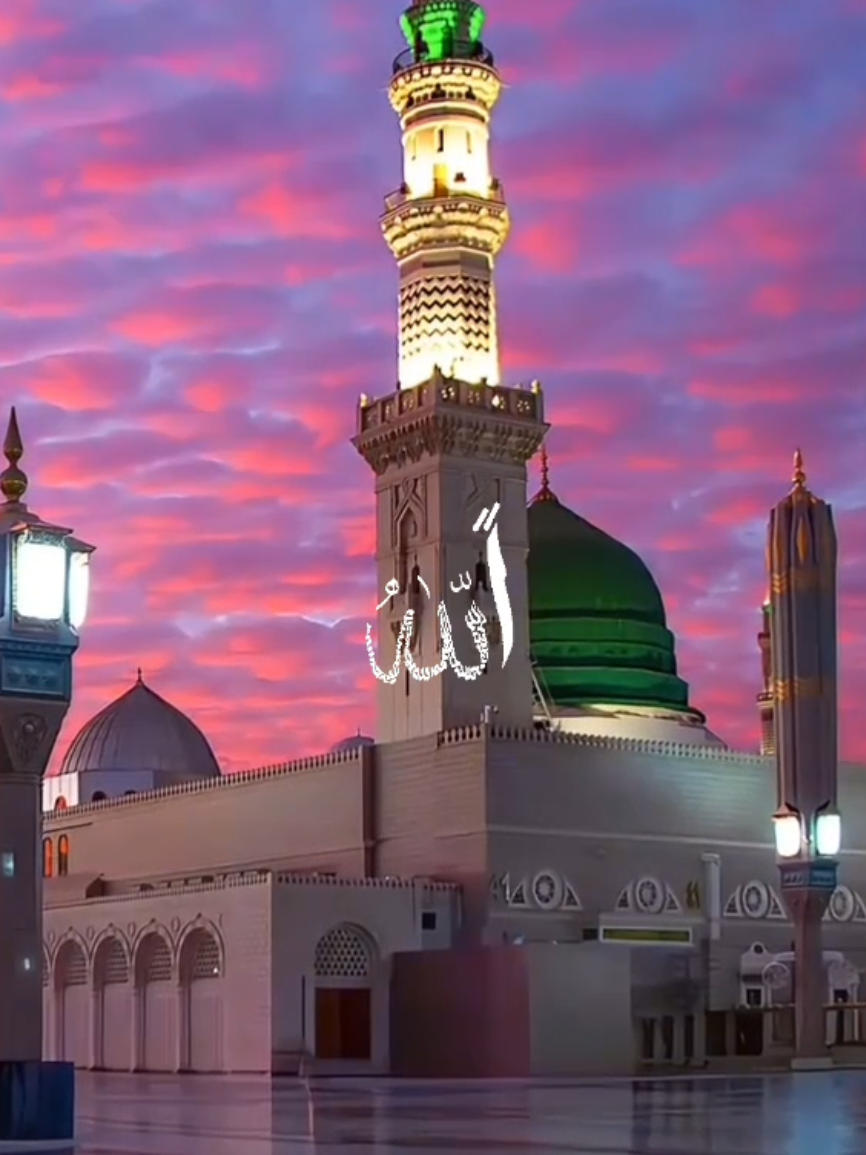 #قران_كريم #قران #محمد_اللحيدان #quran #islamic_media #islam #muslim #quranvideo #sunnah #salafi #salafiyyah #instamuslim #viraltiktok #muhammadalluhaidan #allahuakbar #islamic #parati #islamicquotes #salafiwahabi #musulmana #recitation #beauty #ksa #islamicreminder #gaza #friends #amor #paratii #burqa #sadnesss #makkahmadinah🕋 #makkah 