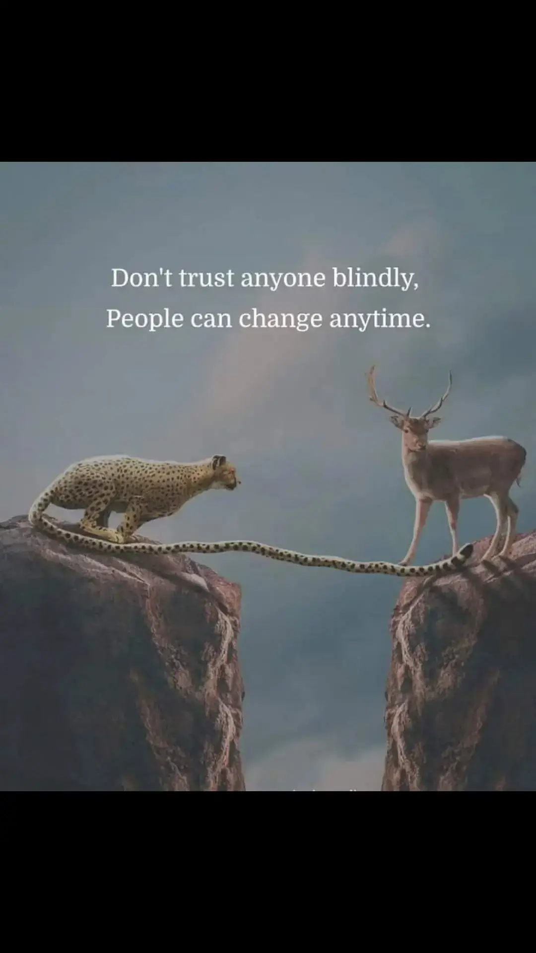 #tamil #tamilsong #tamilmuser #tamilmusical_ly #tamilstatus #whatsappstatus #motivation #tamilmotivation #sad #sadvibes #brokenheart #broken #pain #heartbroken #friends #friendship #thalapathy #thala #rajini #kamalhassan #simbu #malaysiatiktok #gg99 #gg #fyp #fypage #fyppppppppppppppppppppppp #fypシ゚ #fypp #fyppp #fypシ゚viral🖤tiktok #fypツ #fouryoupage #fouryou 