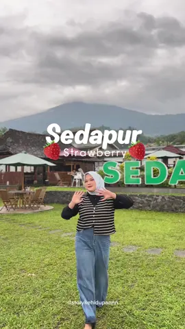 yang bosen main di kota,cobain kesini weh sejuk poll hijo2 alalagi pas sampai sana hujan luvv bgt vibesnya 🍓☺️    📍Maps : Sedapur Strawberry  #storykehidupan #rekomendasitegalbyrita #tegal #infotegal #placetogotegal #pemalang #explorepemalang #strawberry #kebunstrawbery #pemalanghits #fyp 