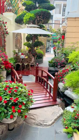 Đầu Tư Gì Tầm Này ACE Ơi ... Ở Nhà Thanh Cảnh Ngắm 🐠🐠🐠 Thôi 😌😌😌... #tinh_kroos8 #chill #video 