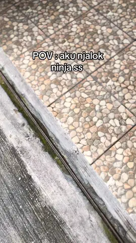 🤣 #fyp #ninjass #zahrildisini 
