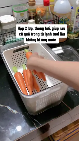 Hộp 2 lớp, thông hơi, giúp rau củ quả trong tủ lạnh tươi lâu không bị úng nước #hopdungthucphamtulanh #hophokori #hophokori2chitiet #hokori #hoptruthucpham #hopdungthucphamhokori 