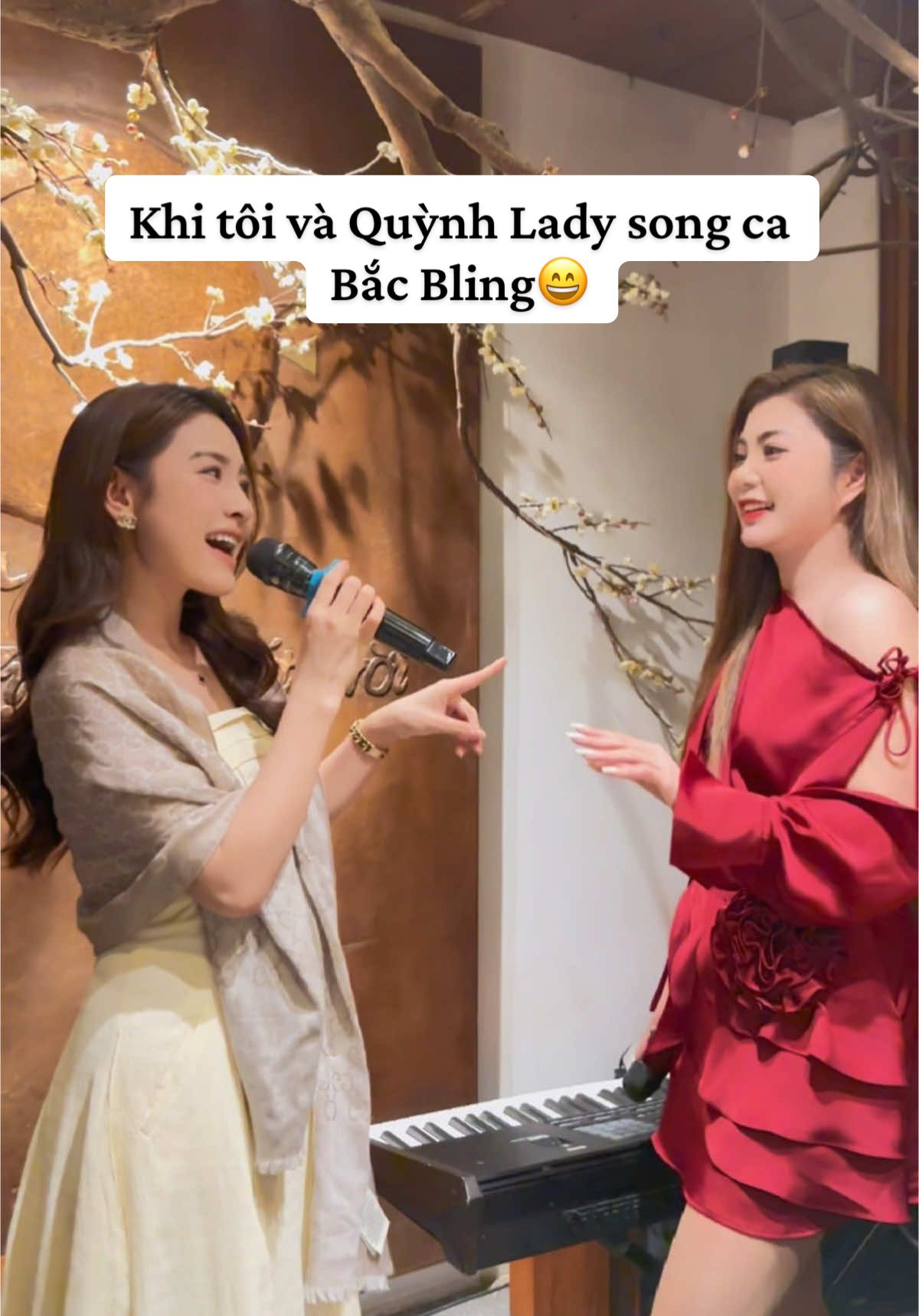 Bắc Bling cover đến từ vị trí hai chị em cùng cha khác ông nội xin ra mắt cả nhà ạ😝😁  #hoaiphan #quynhlady #bacbling #bacblinghoaminzyxuanhinh 