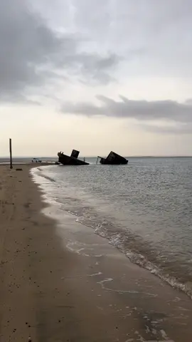 #بحر_ ينبع  #السفينة_الغرقانة #ينبع 