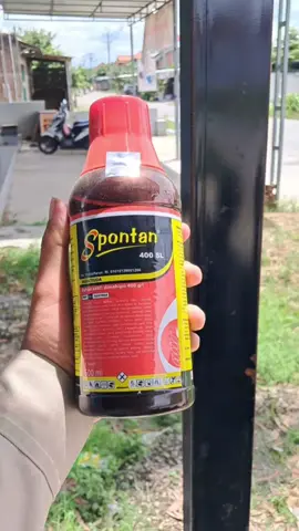 cocok untuk tanaman padi bisa di chek di kranjang kuning  #insektisida #petaniindonesia🇮🇩🇮🇩🇮🇩🌿🌿 #obatpertanian #lebaran #CapCut 