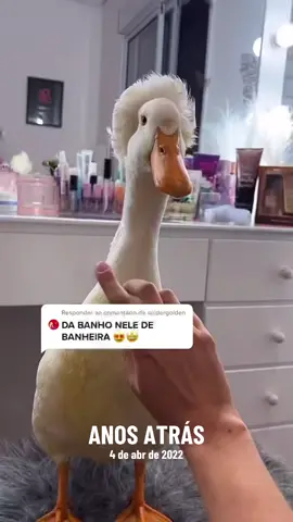 #anosatrás 
