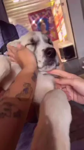 #foryou #fypシ゚ #isabelaramirezoficiall 