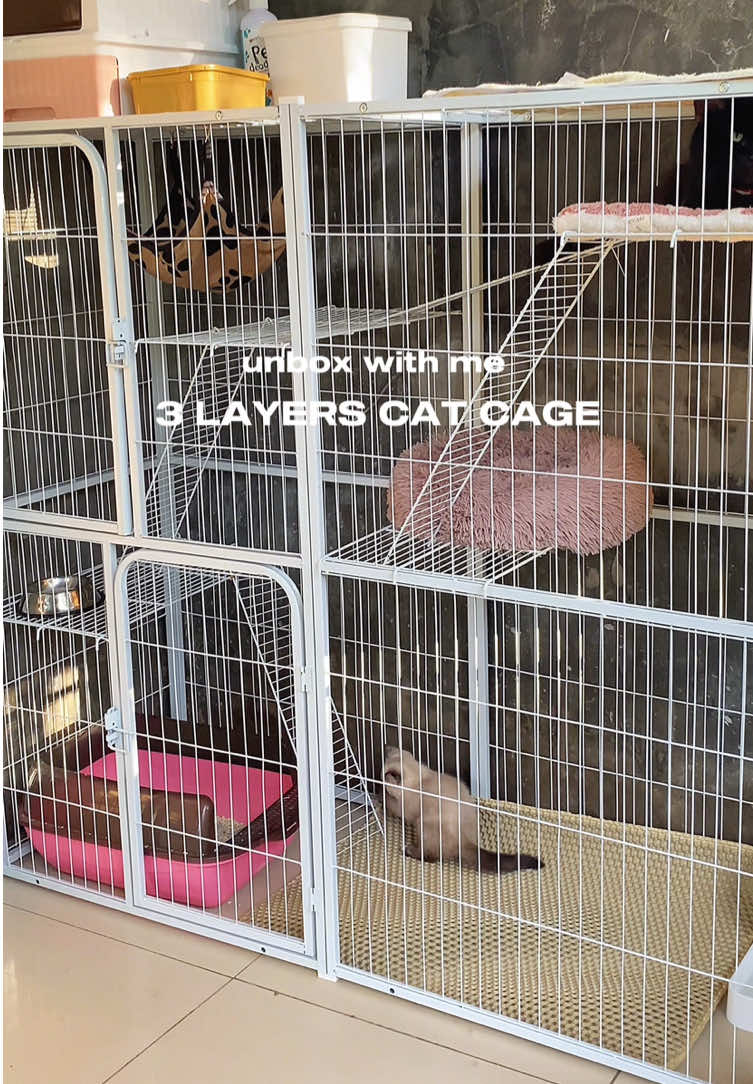 this is your sign to get this cat cage  😍🐱❤️ #catcage #cat #cattiktok #catcondo #unboxwithme #unboxing #shrmnsrh #fypdong #foryou #fyp 