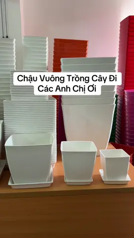 #chaunhuatrongcay #chaunhuatrongcaycaocap 